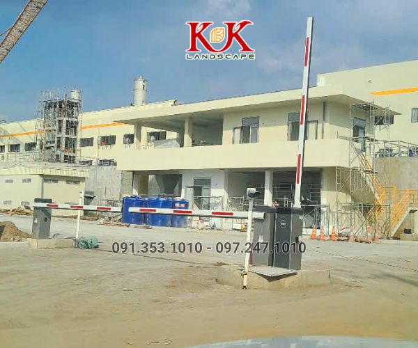 TRỒNG CỎ NHUNG NHẬT CHO NHÀ MÁY KINGFA VIỆT NAM – GIAI ĐOẠN 1