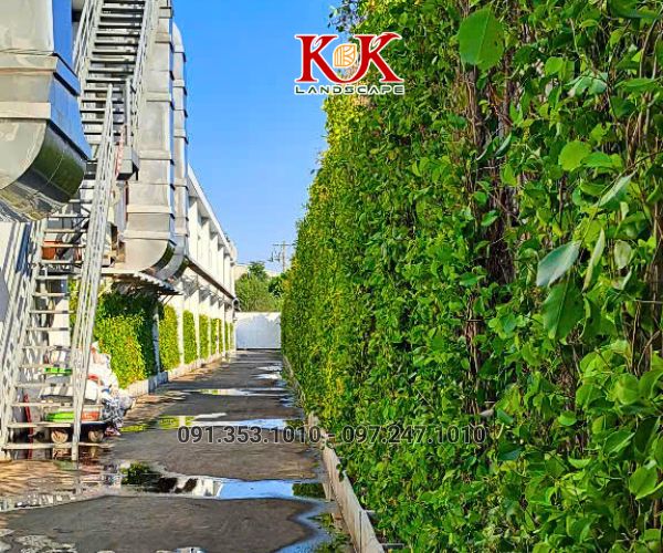 GIẢI PHÁP NÂNG CAO MẢNG XANH BẰNG HỆ TƯỜNG ĐỨNG CHO NHÀ MÁY CONSTANTIA VIỆT NAM