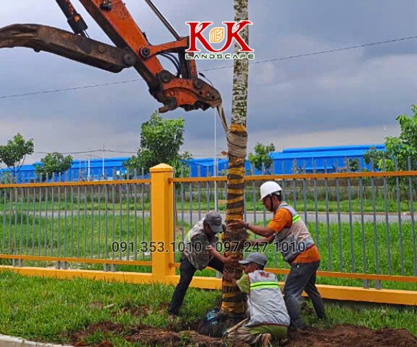 THI CÔNG CẢNH QUAN NHÀ MÁY TOP SPORTS TEXTILE VIỆT NAM – DỰ ÁN TIÊU BIỂU TẠI TÂY NINH