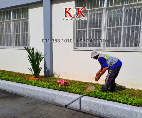 DỰ ÁN CẢNH QUAN NHÀ MÁY NGŨ KIM HUNG HING HONGKONG – LONG AN