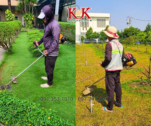 CHĂM SÓC CẢNH QUAN CÂY XANH NHÀ MÁY, KCN – DUY TRÌ MẢNG XANH BỀN VỮNG, THẨM MỸ