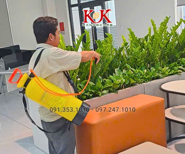 THI CÔNG CẢNH QUAN NHÀ MÁY TOP SPORTS TEXTILE VIỆT NAM – DỰ ÁN TIÊU BIỂU TẠI TÂY NINH