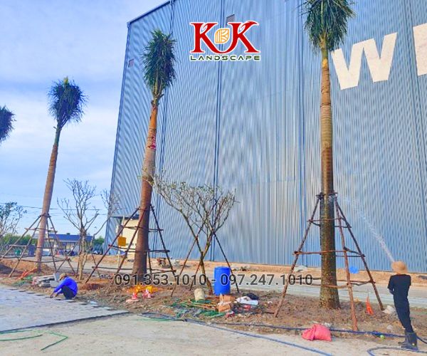 cảnh quan nhà máy