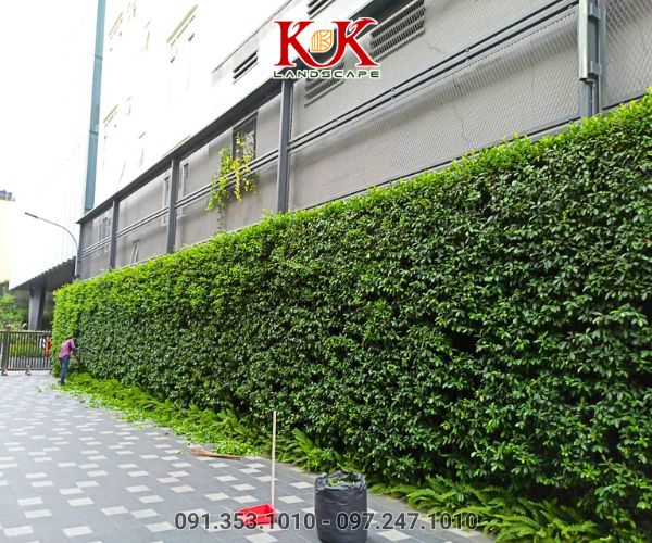 BÁO GIÁ THIẾT KẾ VÀ THI CÔNG CẢNH QUAN SÂN VƯỜN