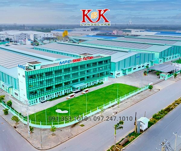 Thiết kế cảnh quan cây xanh cho nhà máy