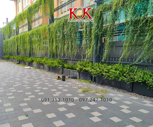 GIẢI PHÁP NÂNG CAO MẢNG XANH CHO NHÀ MÁY, XÍ NGHIỆP, NHÀ XƯỞNG