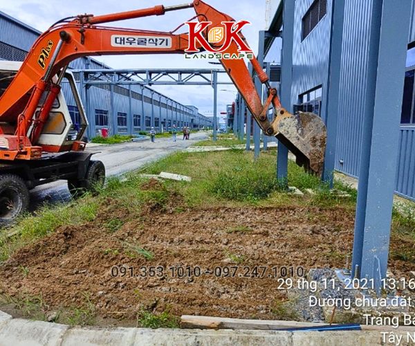 BÁO GIÁ THI CÔNG TRỒNG CỎ THẢM CHO NHÀ MÁY, KHU CÔNG NGHIỆP