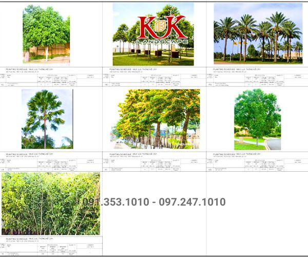 BÁO GIÁ TRỒNG CÂY XANH BÓNG MÁT CHO NHÀ MÁY, KCN