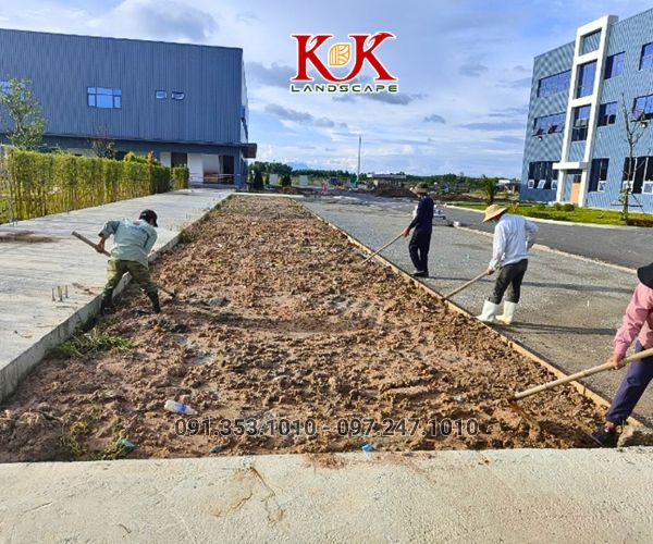 BÁO GIÁ THI CÔNG TRỒNG CỎ THẢM CHO NHÀ MÁY, KHU CÔNG NGHIỆP