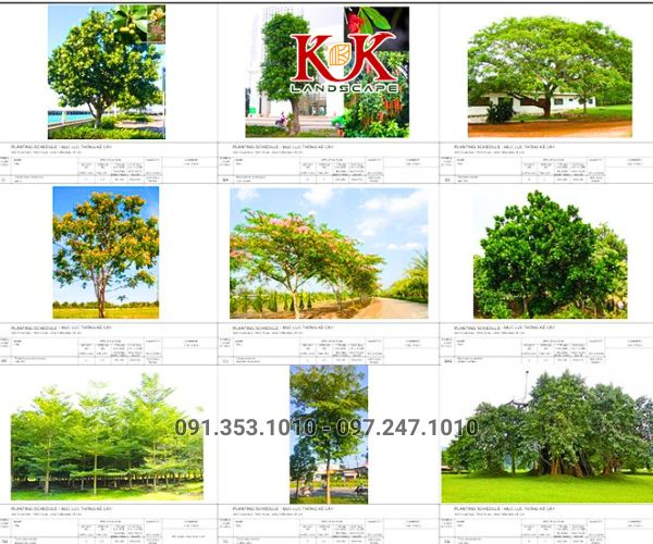 BÁO GIÁ TRỒNG CÂY XANH BÓNG MÁT CHO NHÀ MÁY, KCN
