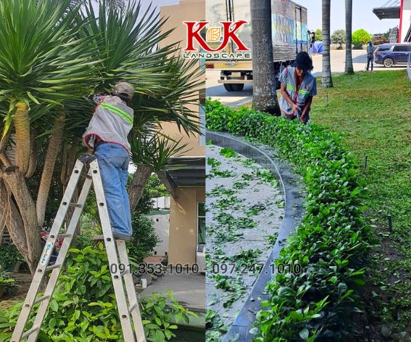 CHĂM SÓC CẢNH QUAN CÂY XANH NHÀ MÁY, KCN – DUY TRÌ MẢNG XANH BỀN VỮNG, THẨM MỸ