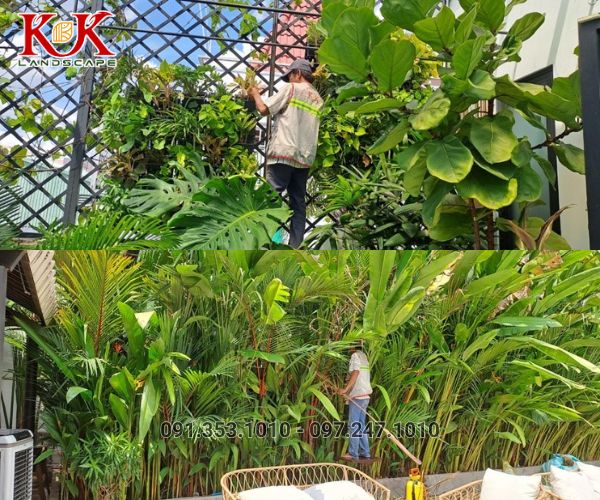 CHĂM SÓC CẢNH QUAN CÂY XANH NHÀ MÁY, KCN – DUY TRÌ MẢNG XANH BỀN VỮNG, THẨM MỸ