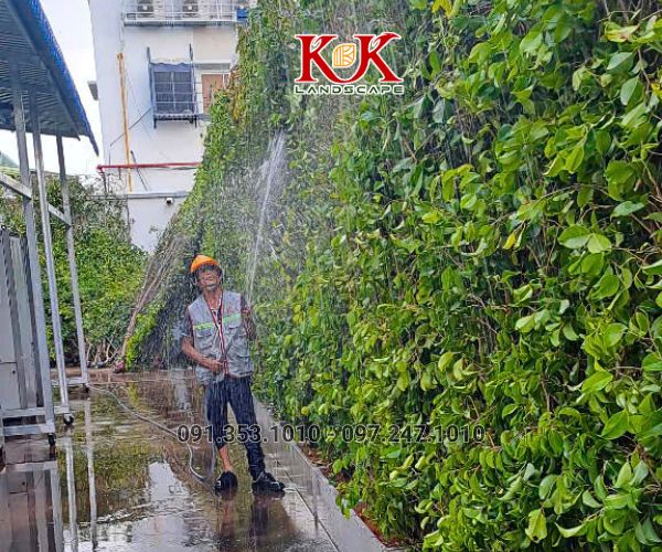 GIẢI PHÁP NÂNG CAO MẢNG XANH BẰNG HỆ TƯỜNG ĐỨNG CHO NHÀ MÁY CONSTANTIA VIỆT NAM