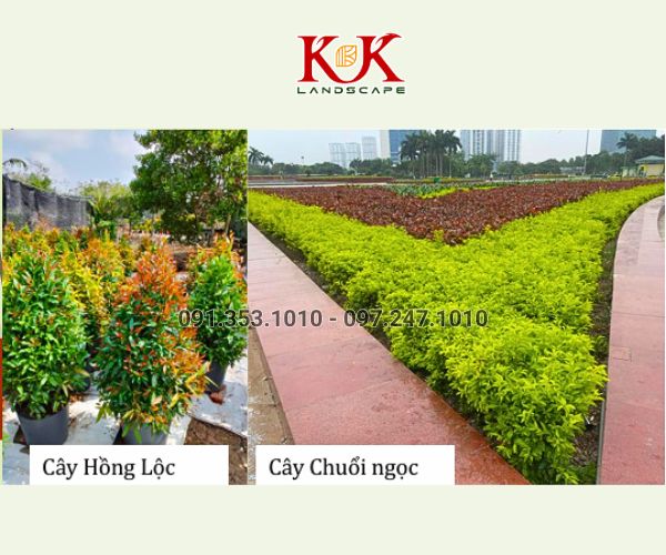 THIẾT KẾ CẢNH QUAN NHÀ MÁY VICOME – KHU CÔNG NGHIỆP THÀNH THÀNH CÔNG, TÂY NINH