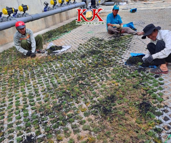 THI CÔNG CẢNH QUAN NHÀ MÁY TOP SPORTS TEXTILE VIỆT NAM – DỰ ÁN TIÊU BIỂU TẠI TÂY NINH