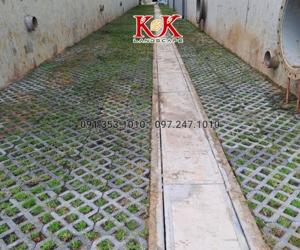 THI CÔNG CẢNH QUAN NHÀ MÁY TOP SPORTS TEXTILE VIỆT NAM – DỰ ÁN TIÊU BIỂU TẠI TÂY NINH