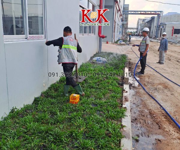 THI CÔNG CẢNH QUAN NHÀ MÁY TOP SPORTS TEXTILE VIỆT NAM – DỰ ÁN TIÊU BIỂU TẠI TÂY NINH