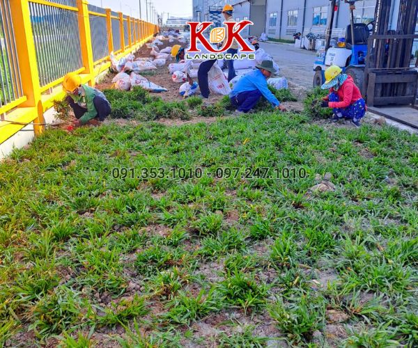 THI CÔNG CẢNH QUAN NHÀ MÁY TOP SPORTS TEXTILE VIỆT NAM – DỰ ÁN TIÊU BIỂU TẠI TÂY NINH