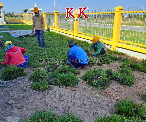 THI CÔNG CẢNH QUAN NHÀ MÁY TOP SPORTS TEXTILE VIỆT NAM – DỰ ÁN TIÊU BIỂU TẠI TÂY NINH