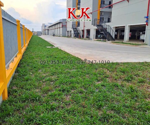 THI CÔNG CẢNH QUAN NHÀ MÁY TOP SPORTS TEXTILE VIỆT NAM – DỰ ÁN TIÊU BIỂU TẠI TÂY NINH