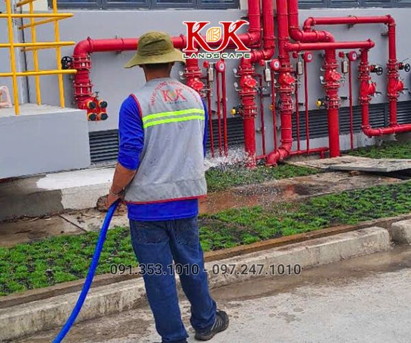 THIẾT KẾ VÀ THI CÔNG CẢNH QUAN NHÀ MÁY, KHU CÔNG NGHIỆP – GIẢI PHÁP XANH TOÀN DIỆN TỪ KK LANDSCAPE