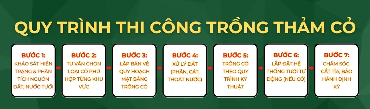 BÁO GIÁ THI CÔNG TRỒNG CỎ THẢM CHO NHÀ MÁY, KHU CÔNG NGHIỆP