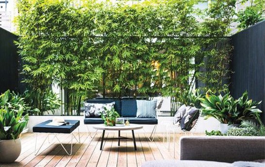 CHI PHÍ THIẾT KẾ SÂN VƯỜN