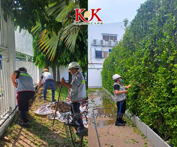 BÁO GIÁ THIẾT KẾ VÀ THI CÔNG CẢNH QUAN SÂN VƯỜN