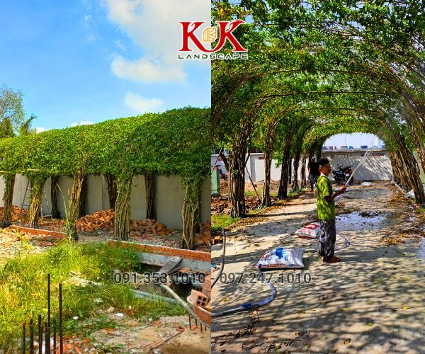 BÁO GIÁ THIẾT KẾ VÀ THI CÔNG CẢNH QUAN SÂN VƯỜN