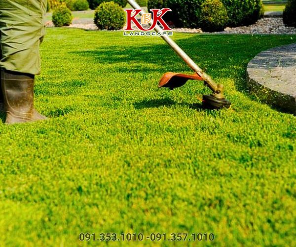 chăm sóc cây xanh thảm cỏ