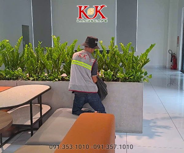 chăm sóc nội thất