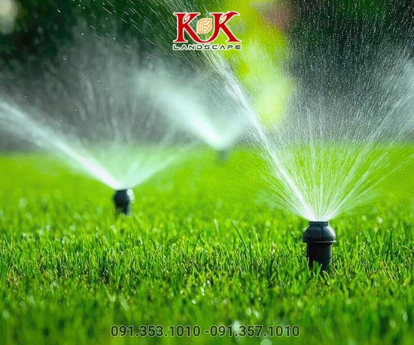 tưới cây xanh thảm cỏ