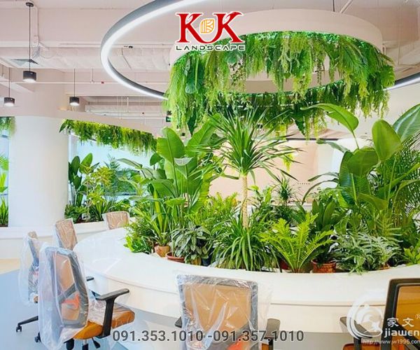 THIẾT KẾ VÀ THI CÔNG SÂN VƯỜN VĂN PHÒNG – GIẢI PHÁP KIẾN TẠO MÔI TRƯỜNG LÀM VIỆC XANH