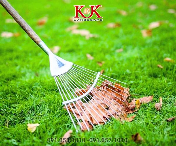 chăm sóc thảm cỏ sân vườn