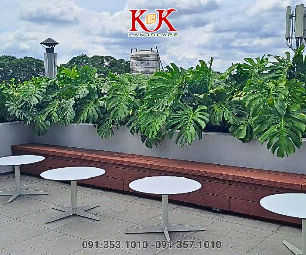 cham soc bao duong canh quan