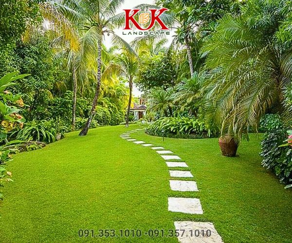 chăm sóc sân vườn