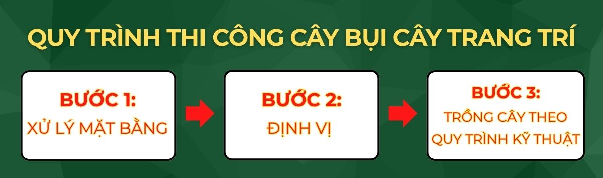 BÁO GIÁ TRỒNG CÂY BỤI, CÂY TRANG TRÍ CHO NHÀ MÁY, KCN