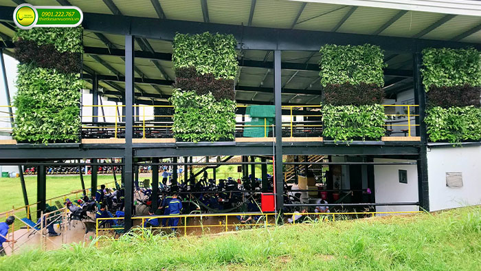 Thi công tường xanh cho quán cafe ở biên hòa đồng nai
