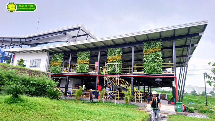 Thi công tường xanh cho quán cafe ở biên hòa đồng nai