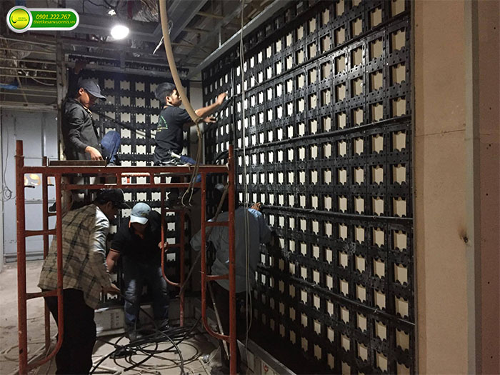 Thi công công trình tường xanh innissfree