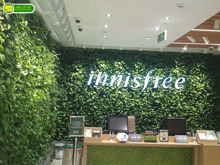 Thi công tường cây xanh innisfree tại quận 1 tphcm