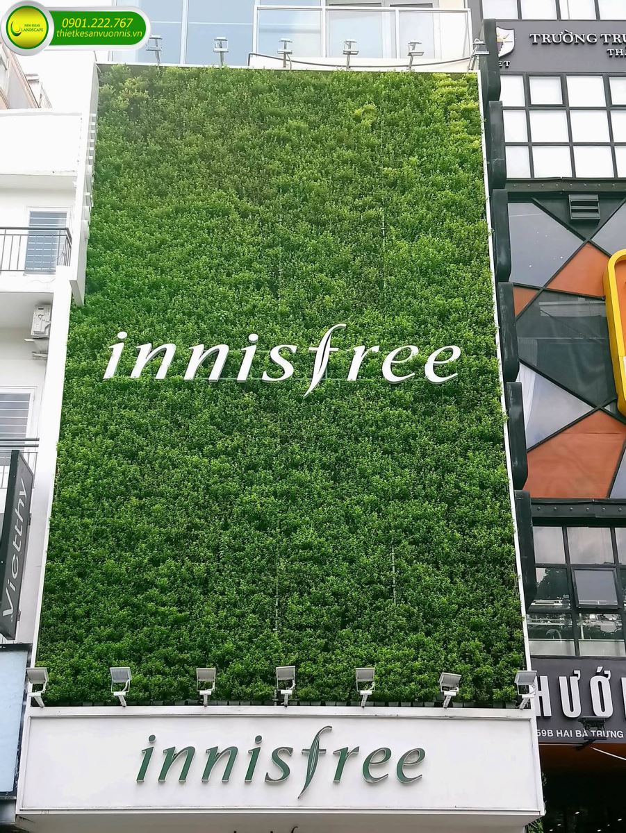 Thi công tường cây xanh innisfree tại quận 1 tphcm