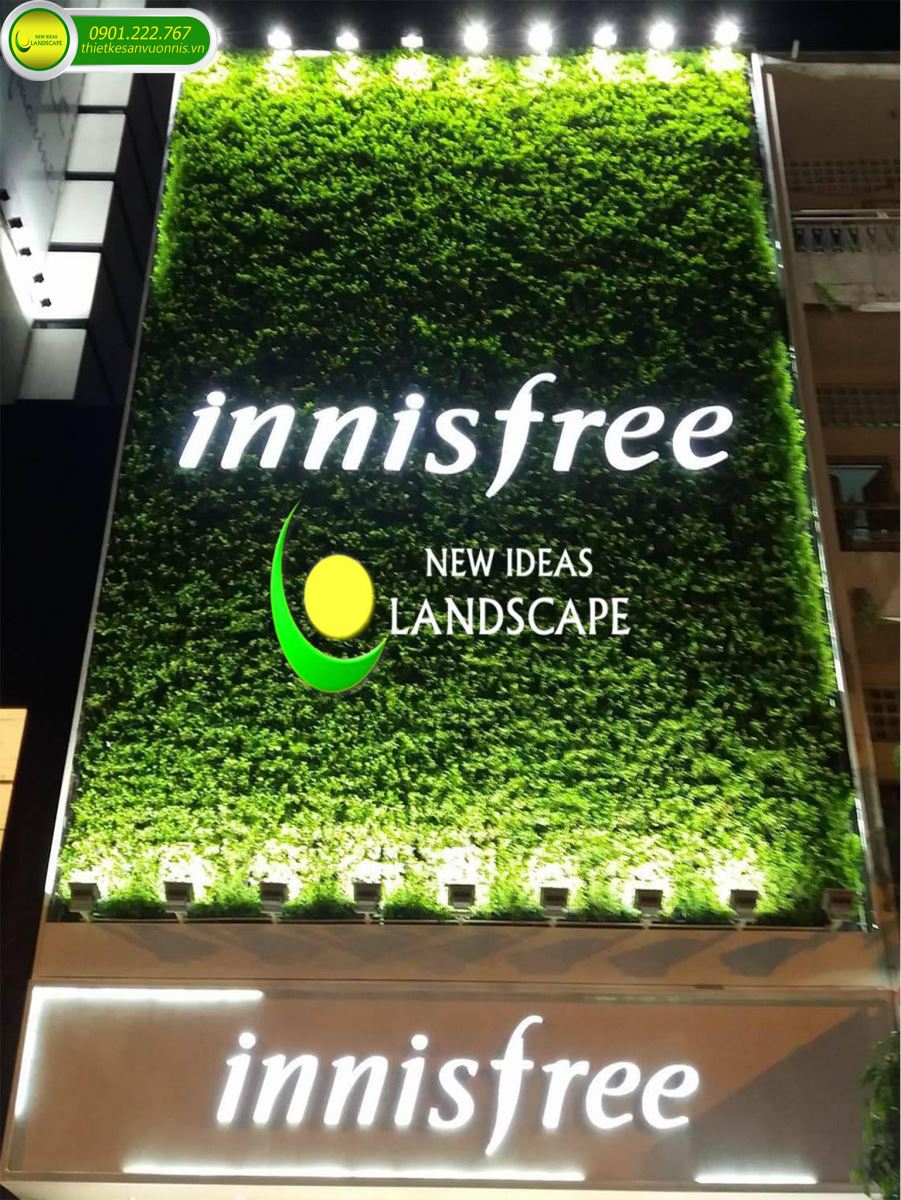 Thi công tường cây xanh innisfree tại quận 1 tphcm