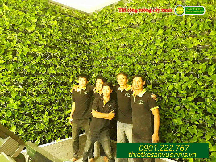 Thi công tường cây xanh innisfree tại quận 1 tphcm