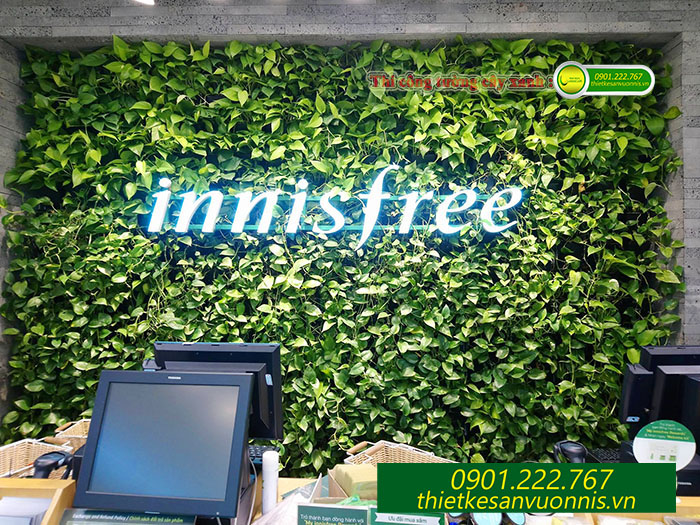 Thi công tường cây xanh innisfree tại quận 1 tphcm
