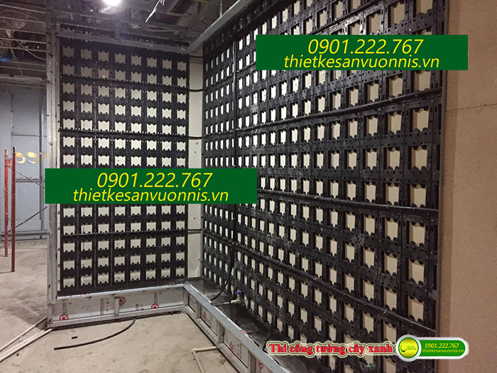 Thi công tường cây xanh innisfree tại quận 1 tphcm