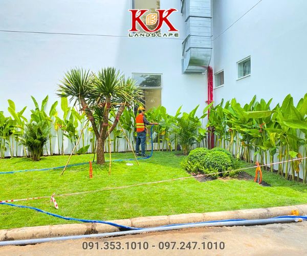 THIẾT KẾ THI CÔNG CẢNH QUAN SÂN VƯỜN – GIẢI PHÁP NÂNG TẦM KHÔNG GIAN SỐNG HIỆN ĐẠI