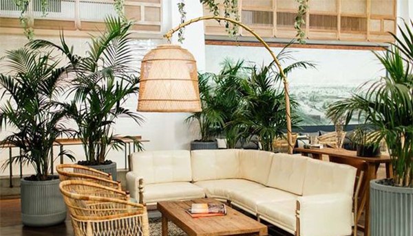 Thiết kế cảnh quan khách sạn