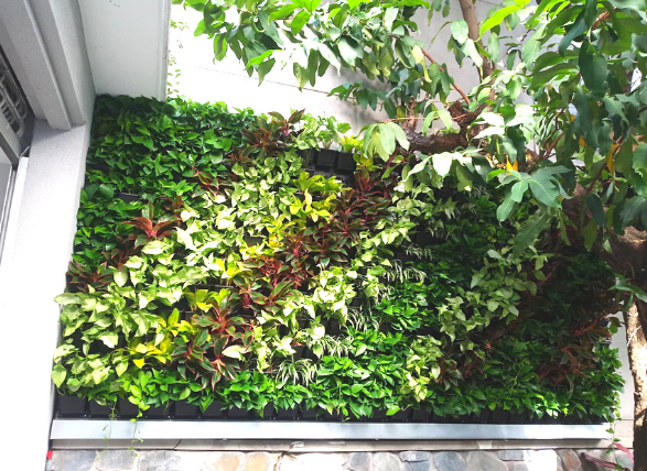 CÁCH LỰA CHỌN VƯỜN TIỂU CẢNH PHÙ HỢP CHO NGÔI NHÀ CỦA BẠN