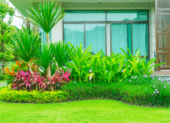 TOP NHỮNG MẪU SÂN VƯỜN TIỂU CẢNH ĐẸP NHẤT HIỆN NAY